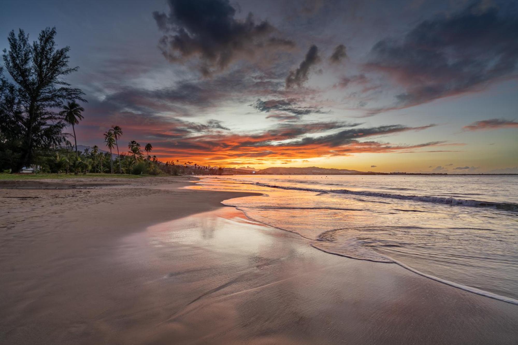 Blue Water Beach Villa Luquillo Eksteriør billede